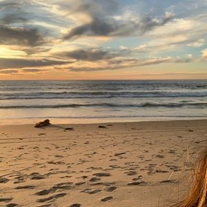 Meet your Posher, Daniela